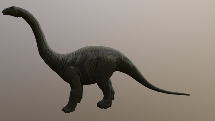 Apatosaurus