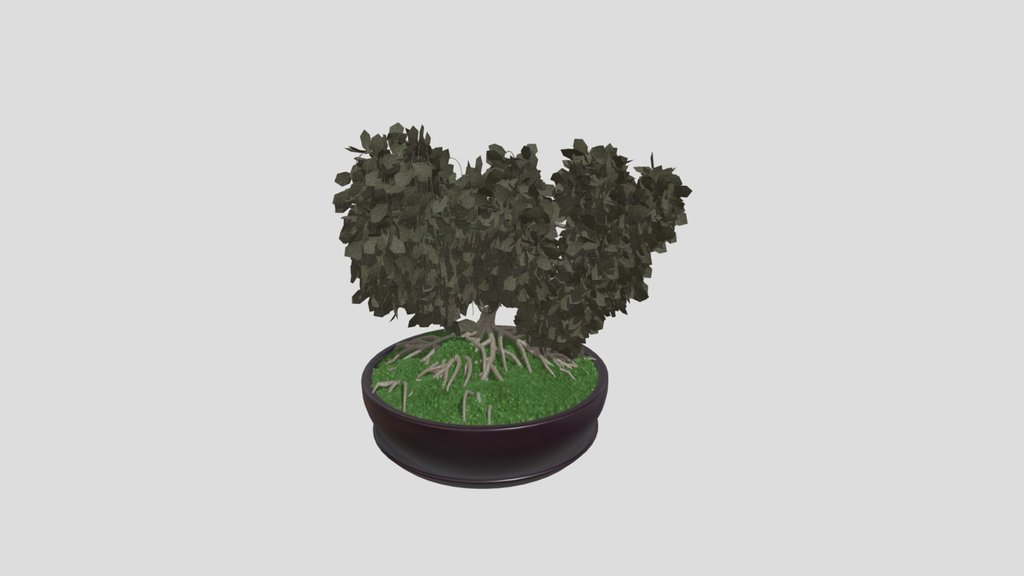 Plant