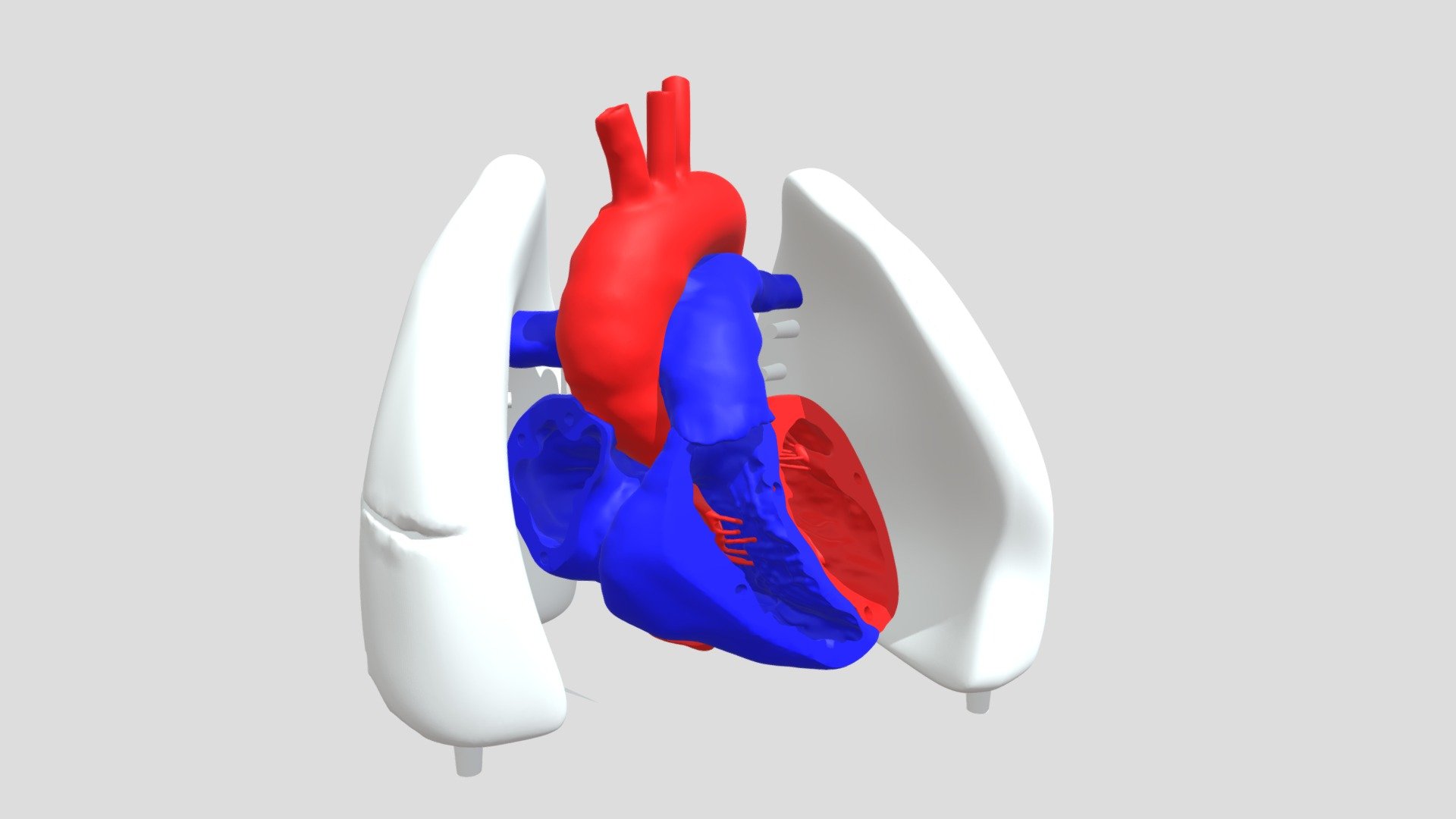 Heart