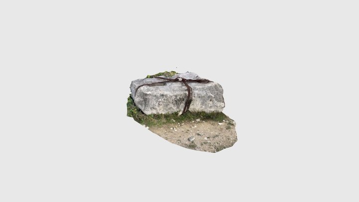 Scaniverse Model 3D Model