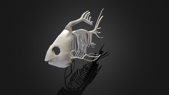 Vertebrados - Pez.esqueleto 3D Model
