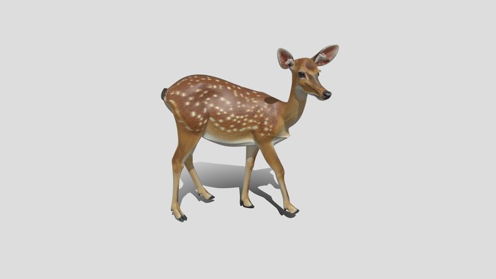 Deer 3d Model