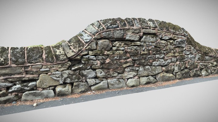 a moss covered stone fence scan 2