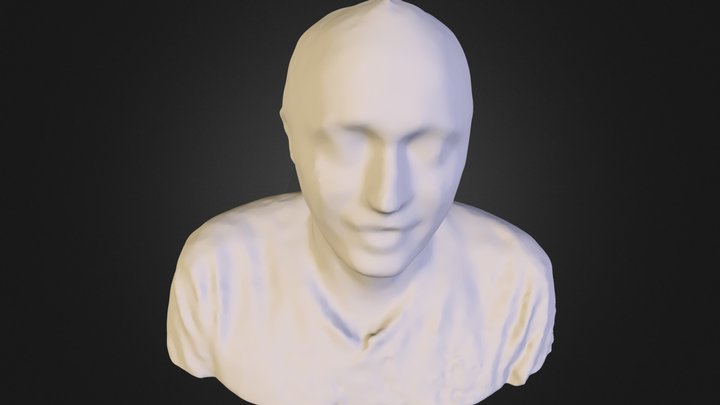 Sia Wireframe 3D Model