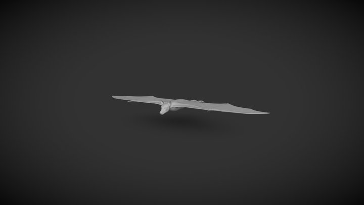 Flying Fox Bat 3D Model