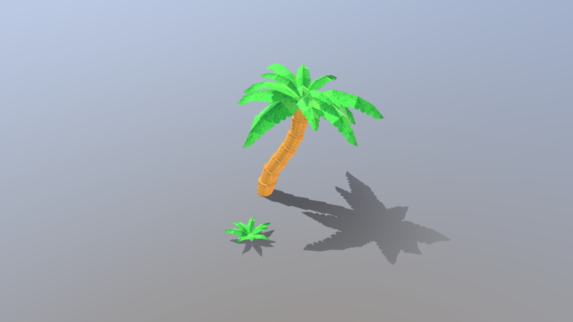 Palm And Grass