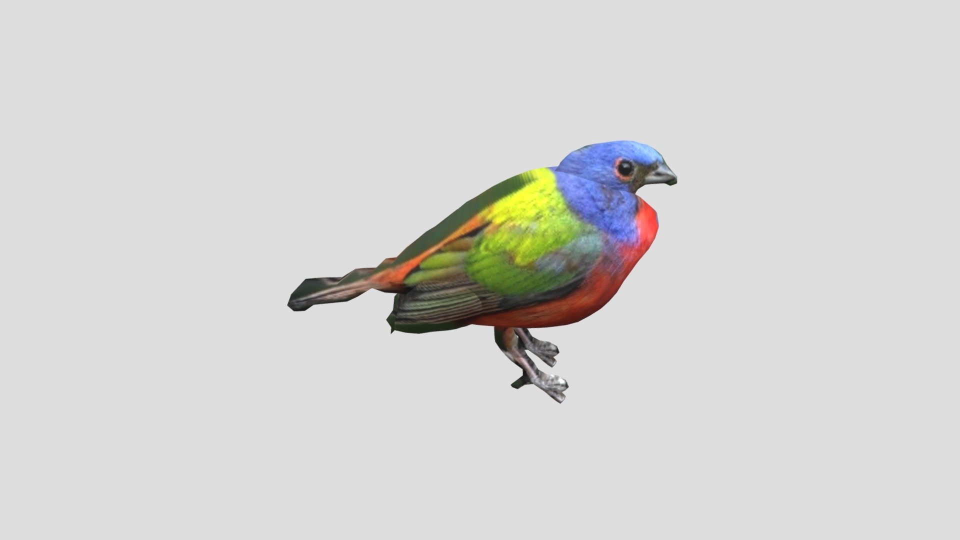 504-11-何秉宬-鳥 — Sketchfab embed 3D viewer