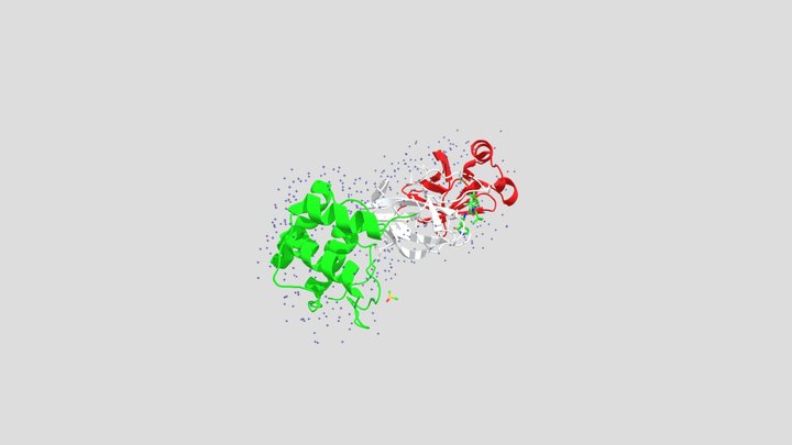 SARS-CoV-2 Main Protease 3D Model