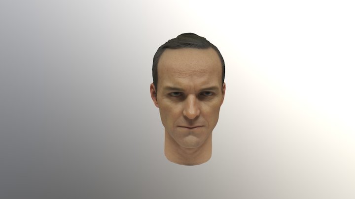 Hot Toys Phil Coulson Head Sculpt 3D Model