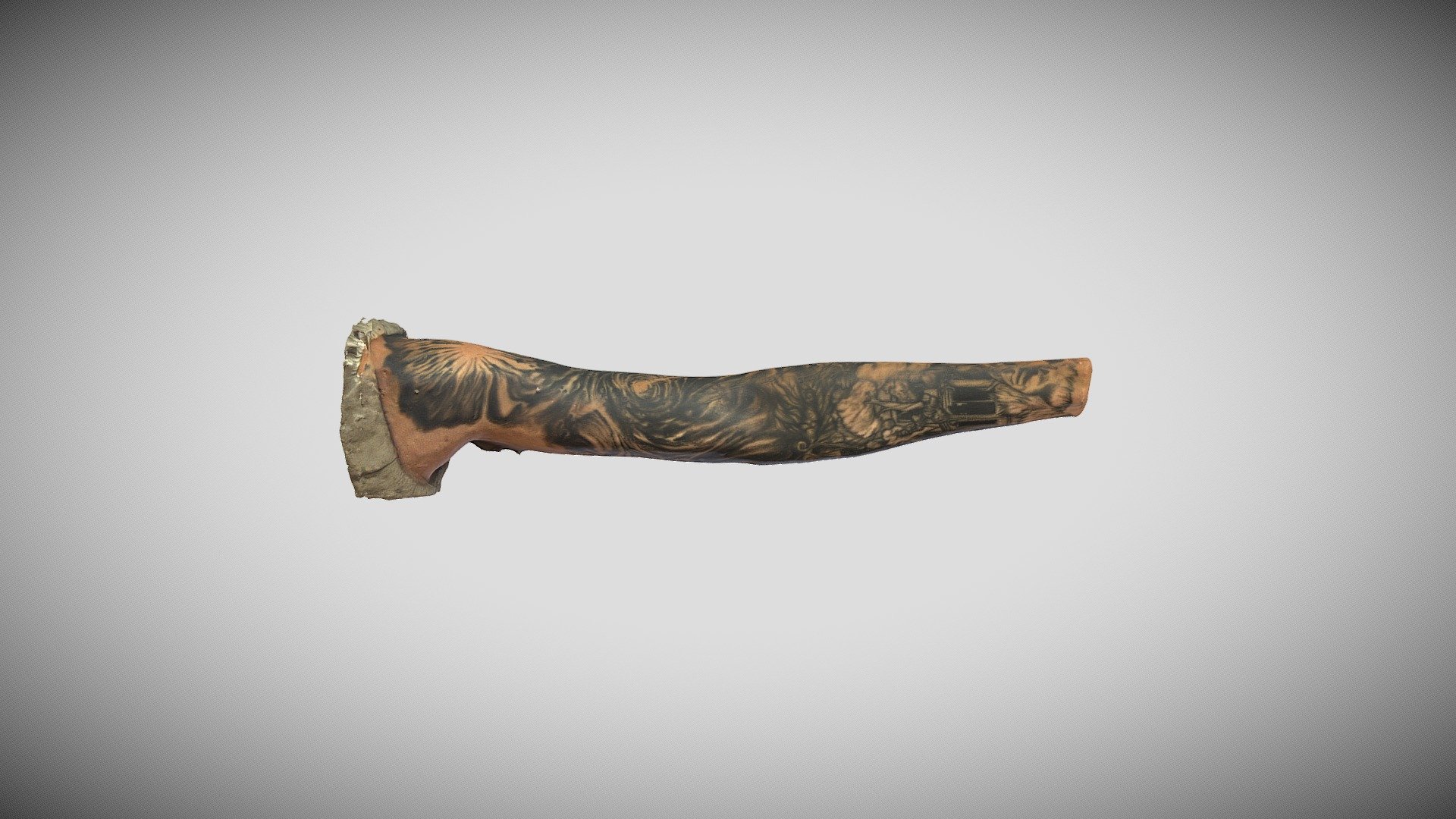Sleeve Tattoo Photogrammetry Test