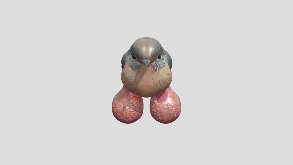 Small Bird Big Balls
