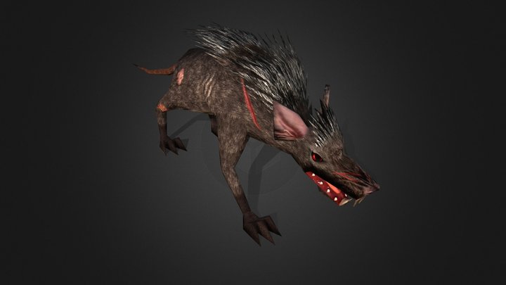 Rat 3D Model