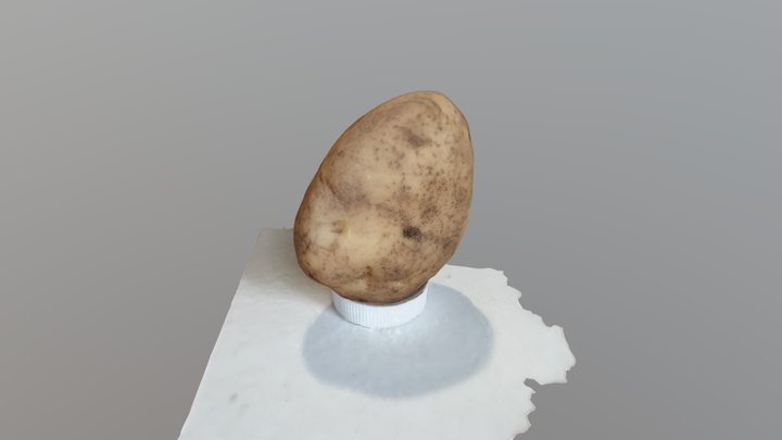 Potato 3D Model