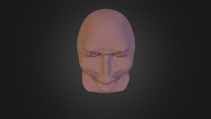 Face Test 3D Model