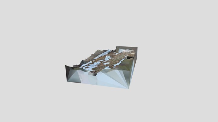 SnowyGround2 3D Model