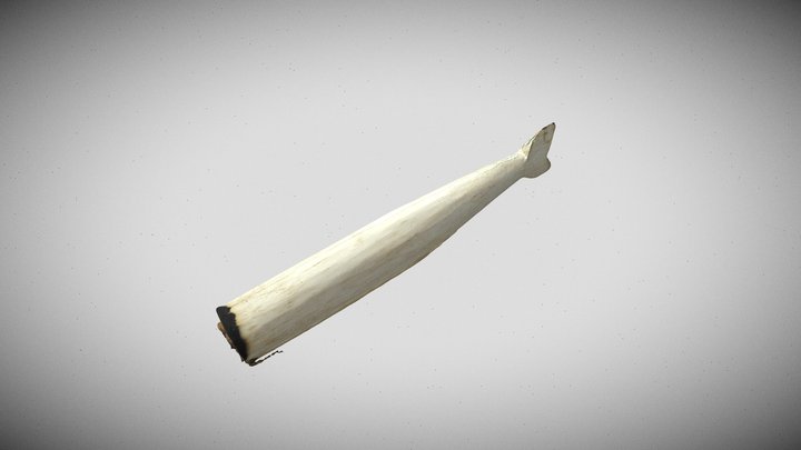 whalejoint2 3D Model