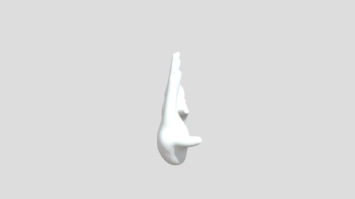 Hands for a fangame 3D Model