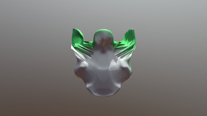Your Mesh-2 turtle 3D Model