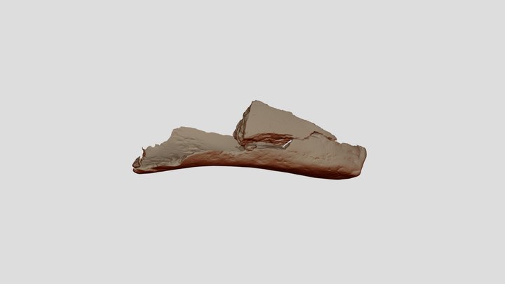 13 20 16 Töredék1 Binary 3D Model