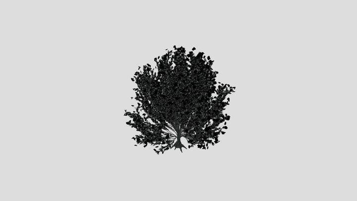 Tree Whiterock – Gratis 3D-model STL