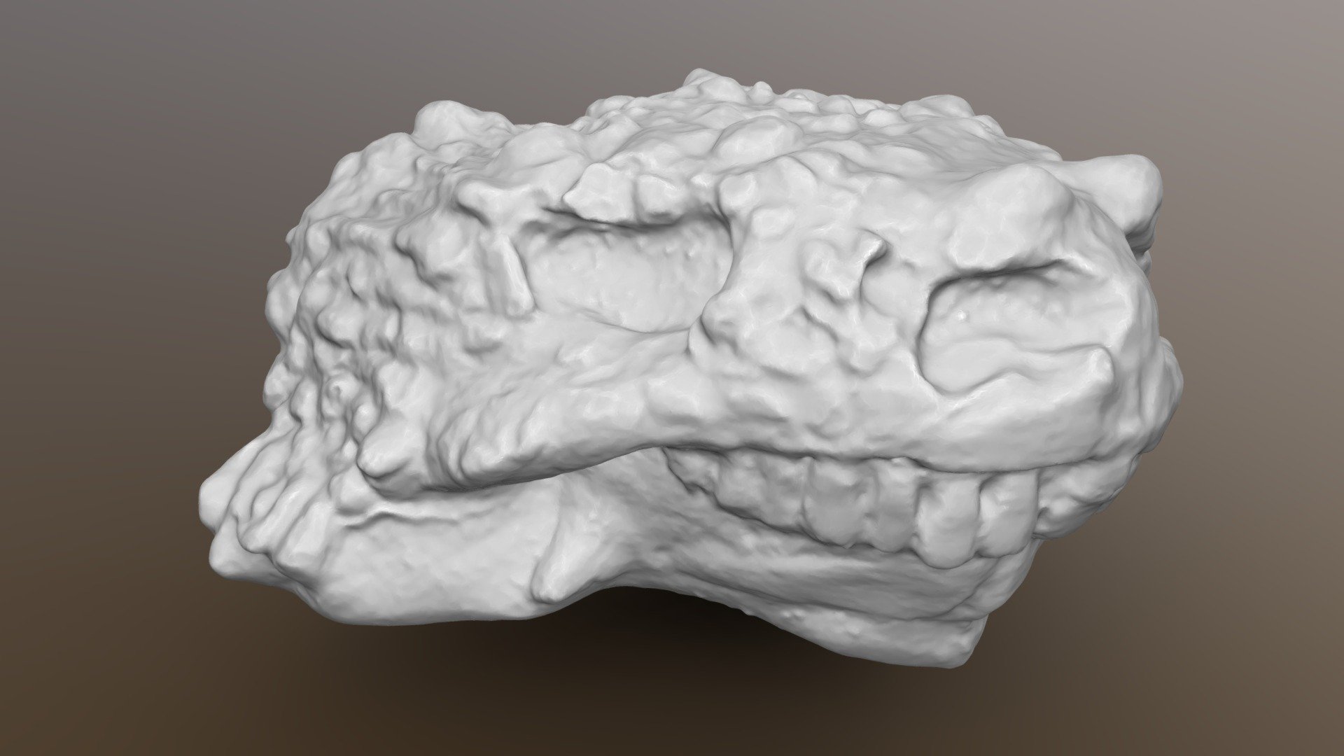 Pareiasaur Deltavjatia rossica skull