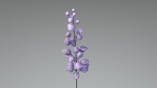 Monkshood 3D Model