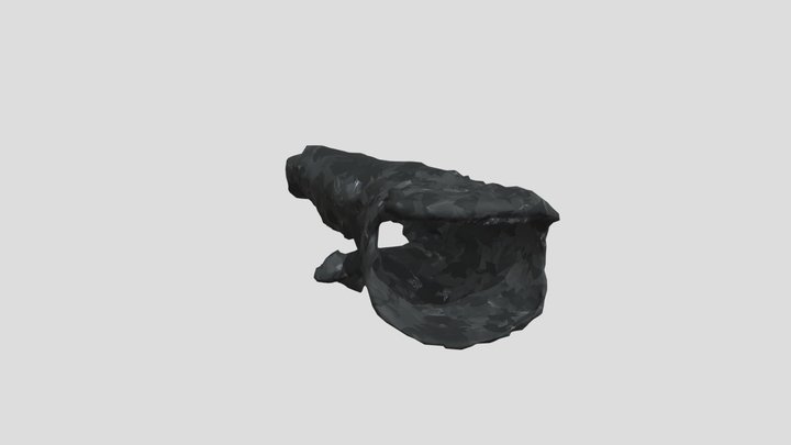 Bloop skeleton 3D Model