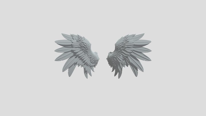 angel wing 3D Model