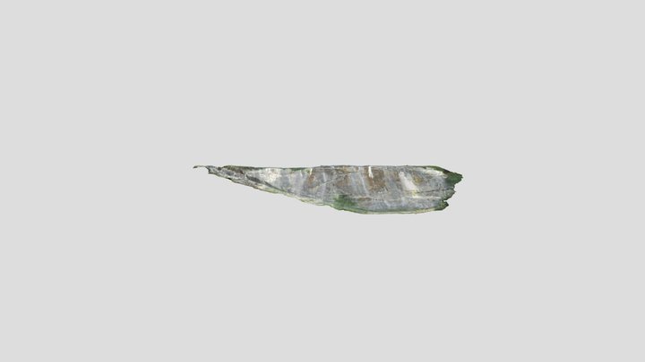 "Ciampate del Divaolo" hominini foot prints 3D Model