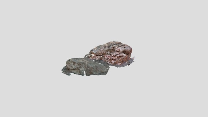 Untitled Scan 3D Model