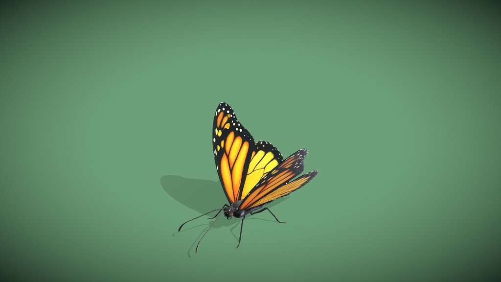 Animated Flying Fluttering Butterfly Loop