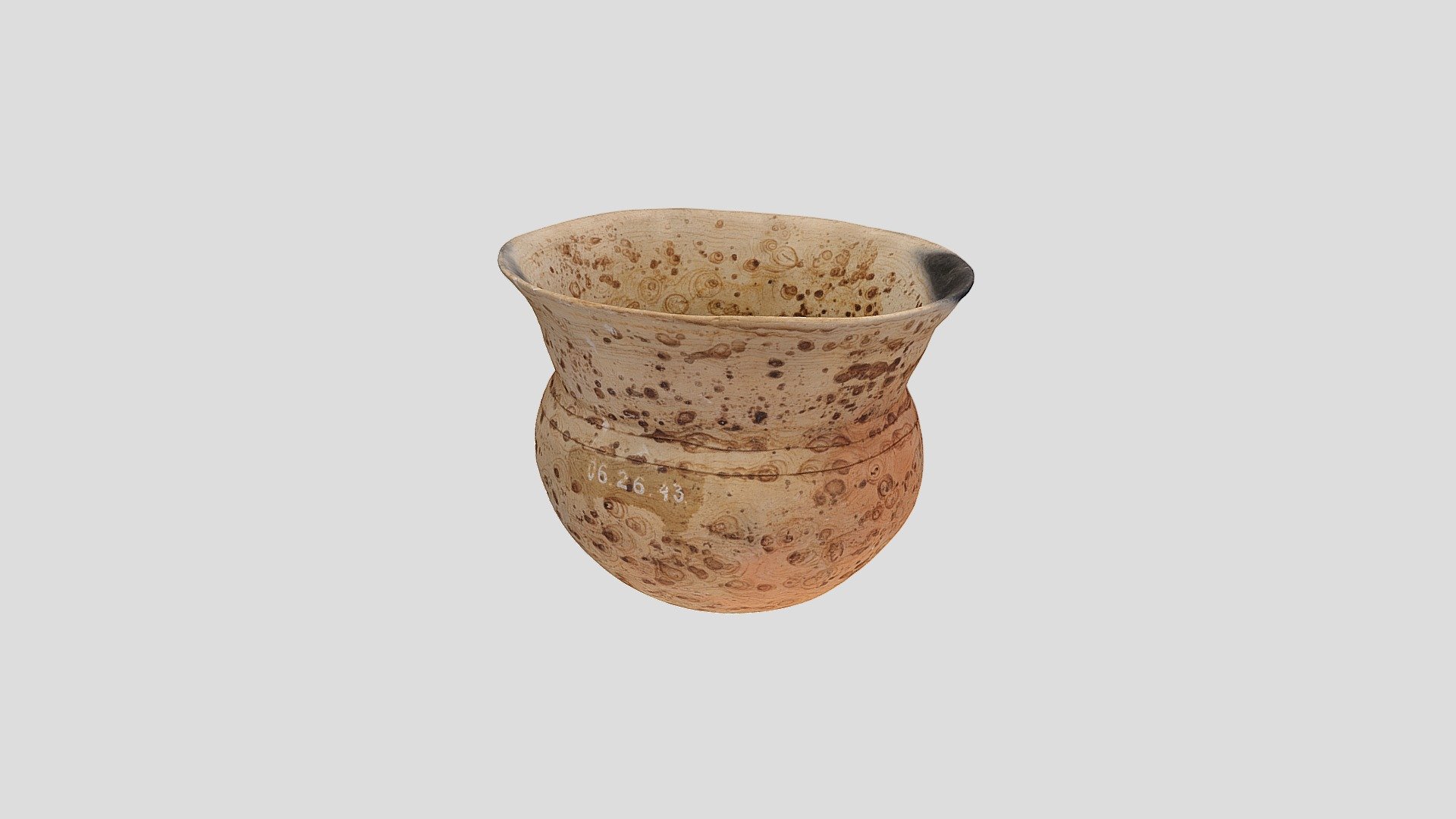 YPM ANT.014466