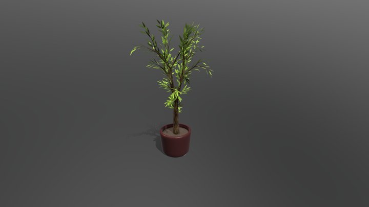 plante 3D Model
