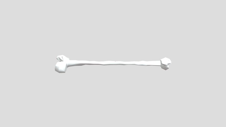 Melva Mitchell Fort Worth Chiropractic Render 3D Model