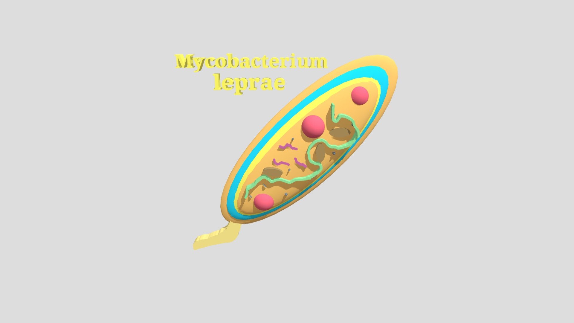 MICROUGHS_ Mycobacterium leprae_NVR_DHW_AMR_ANP1