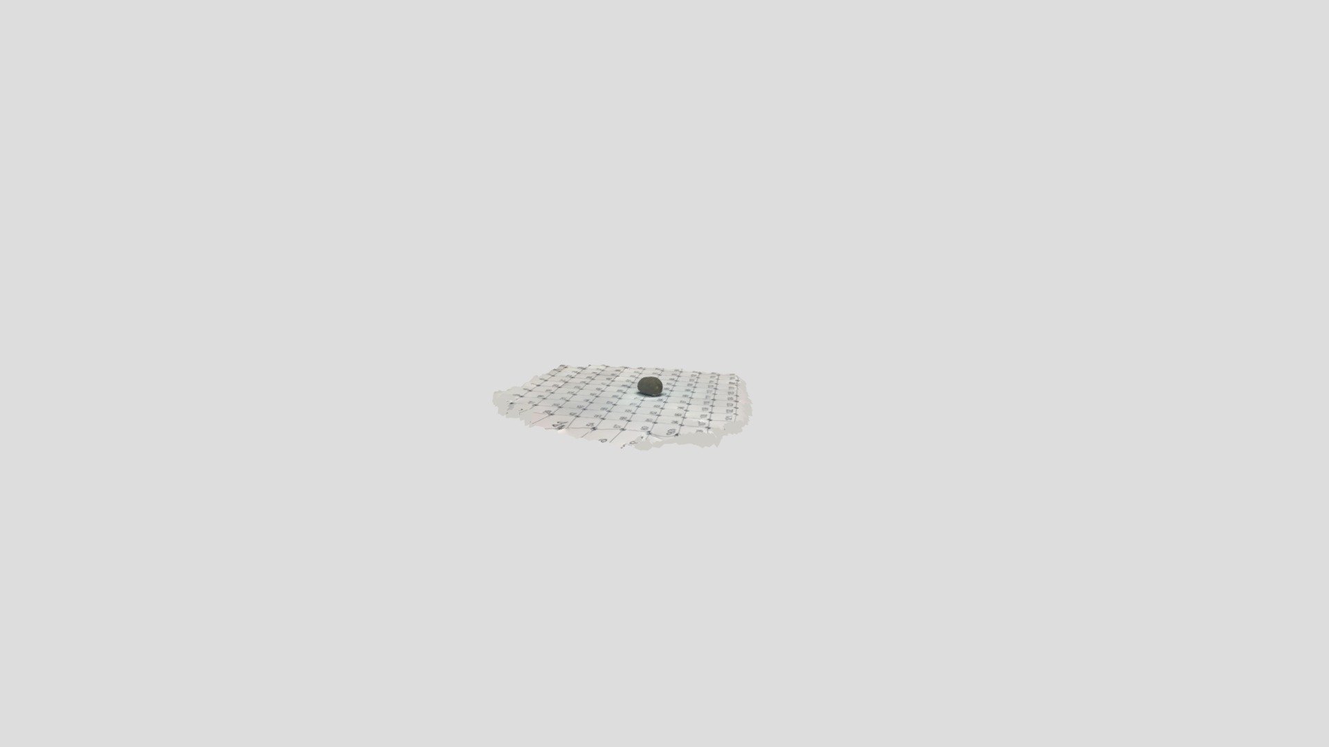 fossil 2