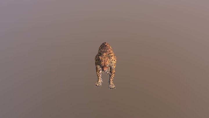 Leopard001-attack02 3D Model