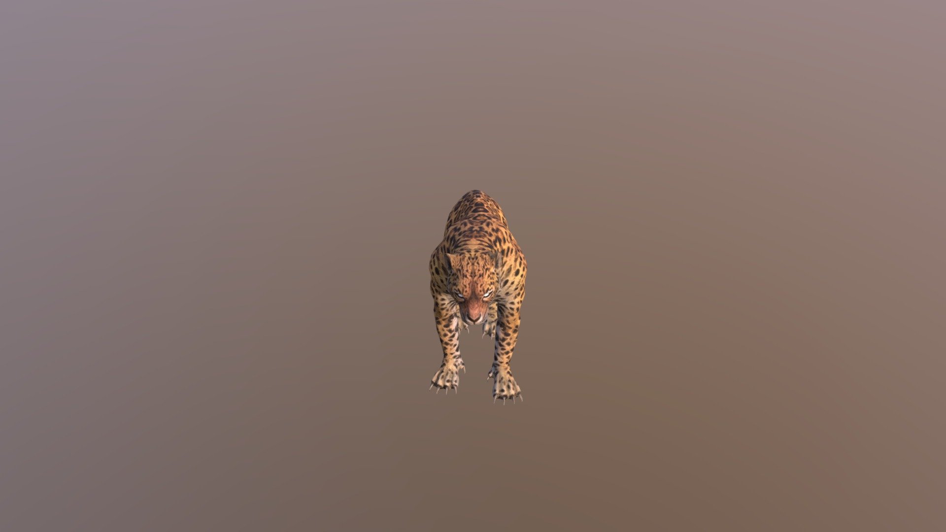 Leopard001-attack02