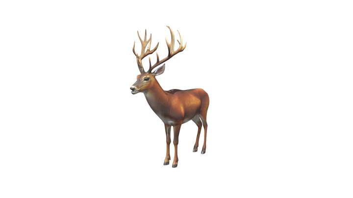 Stag Realistic