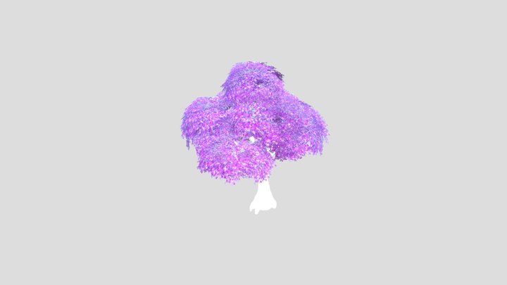Apollo_ Tree_ Red Alder_C 3D Model