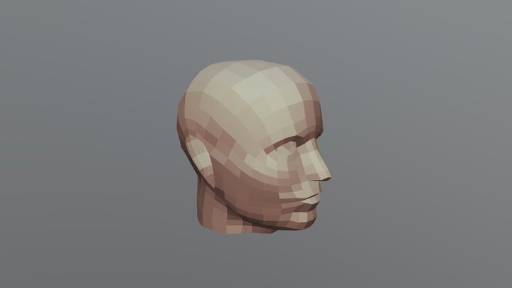 free lowpoly male head 3D Model