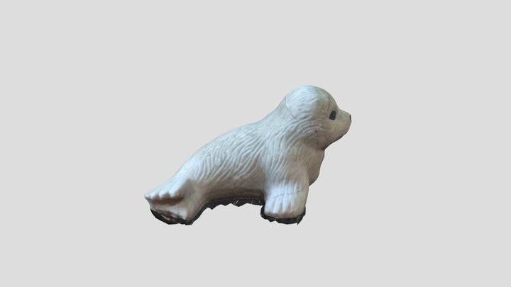 Säl 3D Model