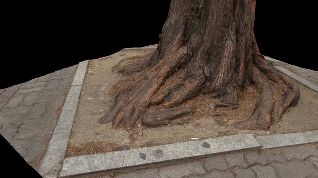 First scan upload! 3D Model