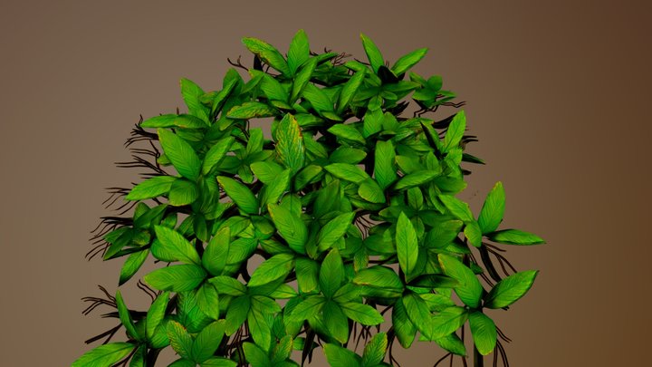 Ground 3D Model