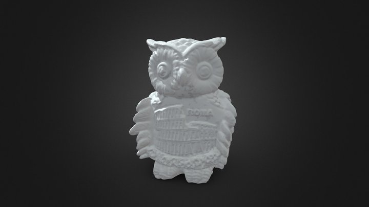 owls 3D Model