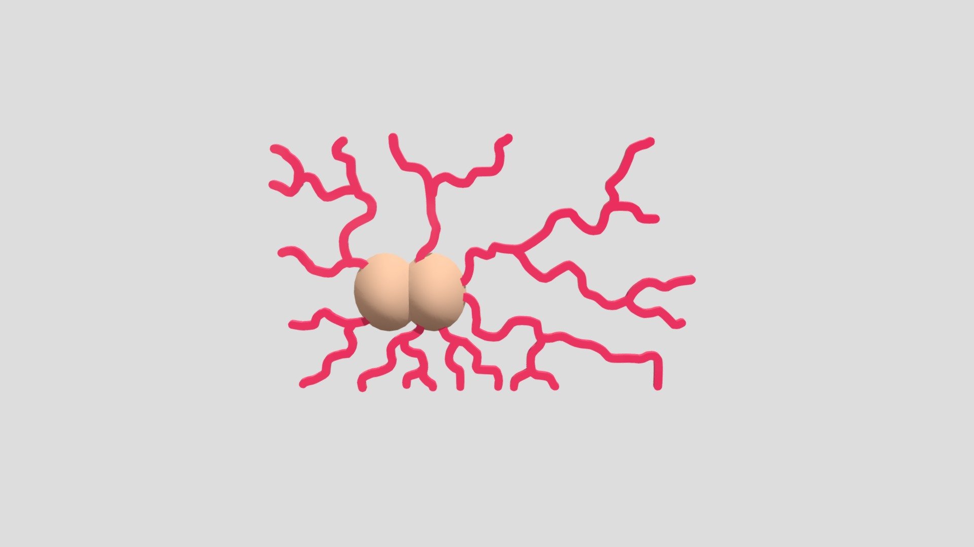 human tail
