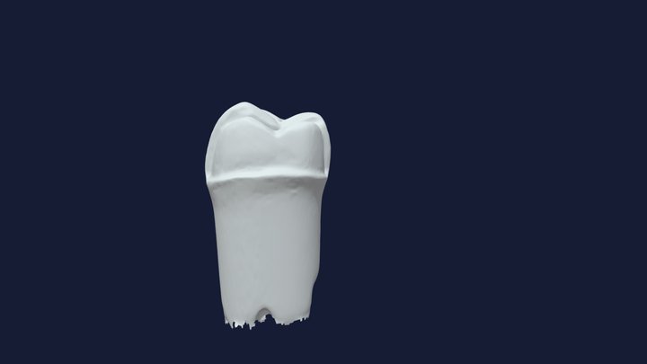 FMC #30 3D Model