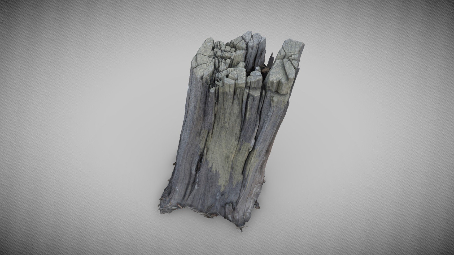 Small Stump Scan