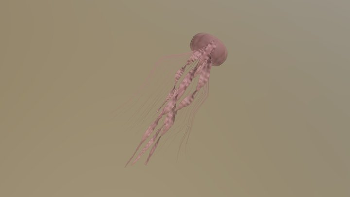 Jellyfish (1) 3D Model