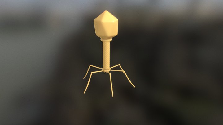 Bacteriophage Virus 3D Model